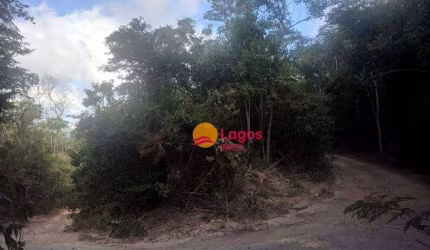 Ótima área plana, em meio à muito verde, 6210 m², R$ 680.000,00 - Rio do Ouro - Niterói/RJ