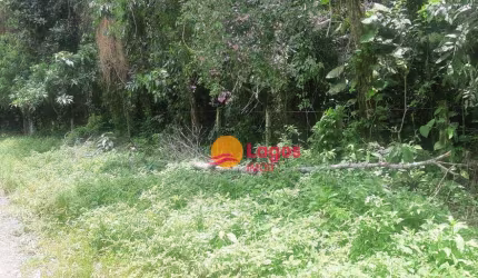 Terreno à venda, 2460 m² por R$ 420.000,00 - Várzea das Moças - Niterói/RJ