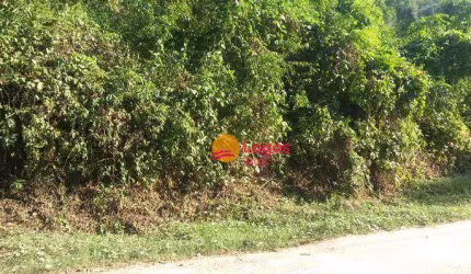Terreno à venda, 10500 m² por R$ 300.000,00 - Maria Paula - Niterói/RJ