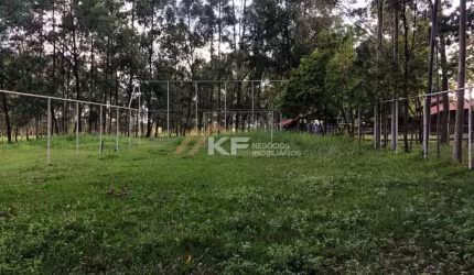 Sítio - à venda na Região de Ribeirão Preto
