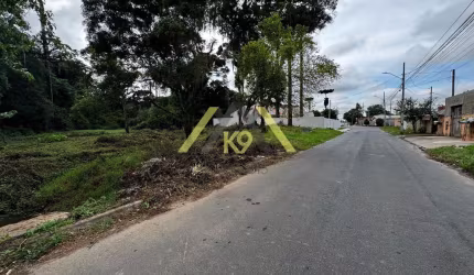 LOTES NO PALMITAL EM COLOMBO