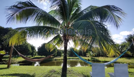 Casa duplex com 4 quartos, 300m2 de terreno, em Abrantes!