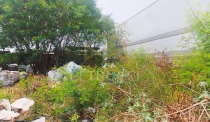 Terreno Comercial à venda, Jardim Nova Europa, Campinas - TE0325.