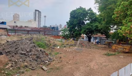 Terreno Comercial à venda, Vila Itapura, Campinas - TE0335.