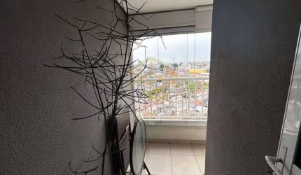 Apartamento Residencial à venda, Vila Rio Branco, São Paulo - AP2260.