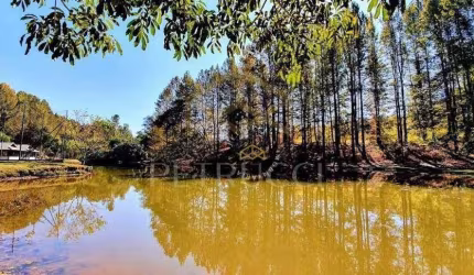 Terreno Residencial à venda, Ivoturucaia, Jundiaí - TE1099.