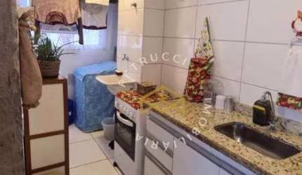 Apartamento Residencial à venda, Jardim das Colinas, Hortolândia - AP6773.