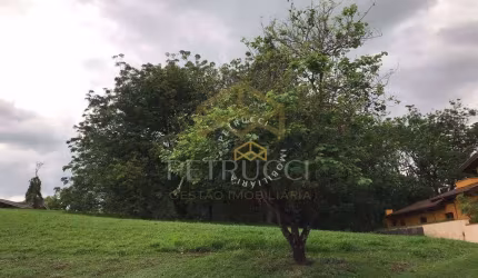 Terreno à venda, 3300 m² por R$ 2.980.000,00 - Alphaville - Campinas/SP