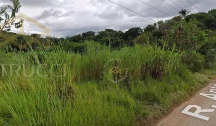 Área Comercial à venda, Vila Saltinho, Campinas - AR0055.