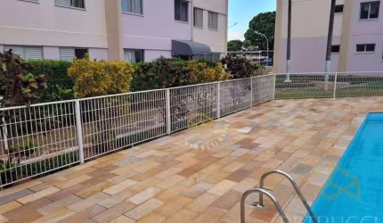 Apartamento Residencial à venda, Jardim Aero Continental, Campinas - AP8339.