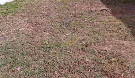 Terreno Residencial à venda, Cidade Universitária, Campinas - TE3925.