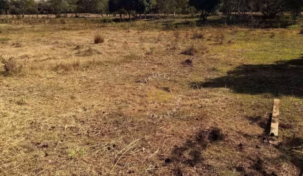 CHÁCARA COM 6 MIL M² COM TANQUE DE PEIXE, TERRENO PLAINO EM ARTUR NOGUEIRA-SP