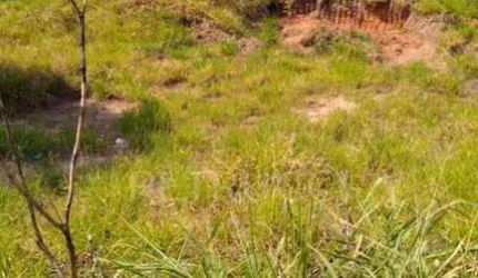 Terreno Comercial à venda, Jardim Do Lago Continuação, Campinas - TE0912.