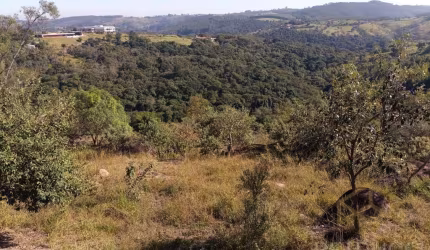 Terreno Residencial à venda, Joaquim Egídio, Campinas - TE1622.