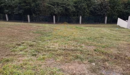 Terreno à venda, 790 m² por R$ 1.290.000,00 - Swiss Park - Campinas/SP