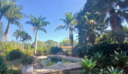 Chácara com 3 dormitórios à venda, 36300 m² por R$ 1.590.000,00 - Santa Úrsula - Jaguariúna/SP