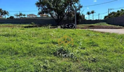 Terreno à venda, 445 m² por R$ 530.000,00 - Betel - Paulínia/SP