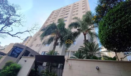 APARTAMENTO À VENDA NO CAMBUÍ CAMPINAS SP. OPROTUNIDADE!