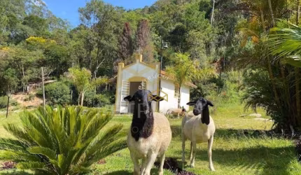Fazenda com 7 dormitórios à venda, 170000 m² por R$ 5.600.000,00 - Quebec Ville - São Roque/SP