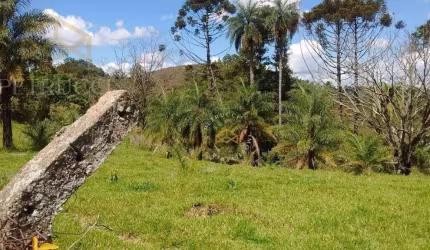 Sítio Residencial à venda, Centro, Serra Negra