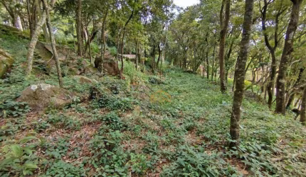 Terreno à venda, 1925 m²  - Condomínio Nova Suiça - Valinhos/SP