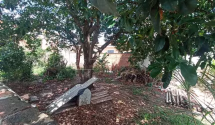 Terreno Padrão em São Carlos
