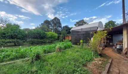 Terreno Padrão em São Carlos