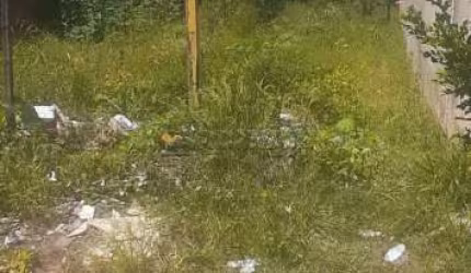 Terreno Padrão em São Carlos
