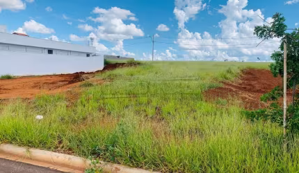 Terreno Padrão em São Carlos