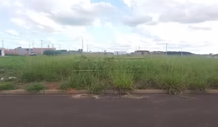 Terreno Padrão em São Carlos