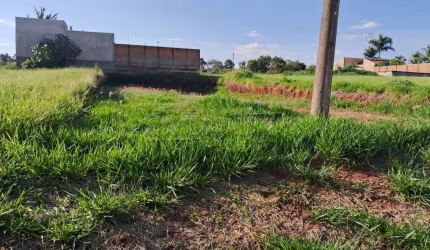Terreno Padrão em Araraquara