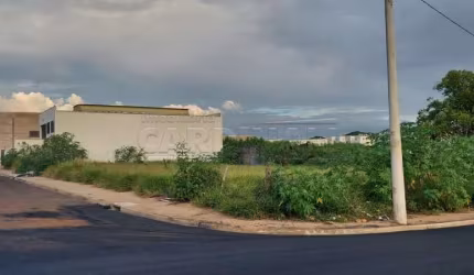 Terreno Padrão em São Carlos