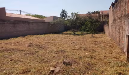 Terreno Padrão em Campinas