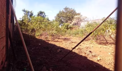 Terreno Padrão em Araraquara