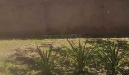 Rural Chácara em São Carlos