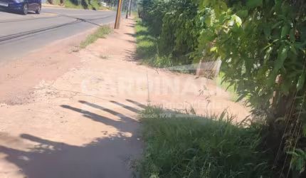 Rural Chácara sem Condomínio em São Carlos