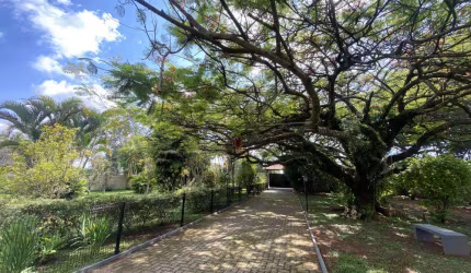 Rural Chácara com Condomínio em São Carlos