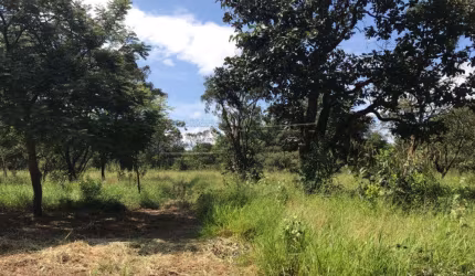 Rural Área em São Carlos