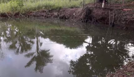 Rural Chácara sem Condomínio em São Carlos