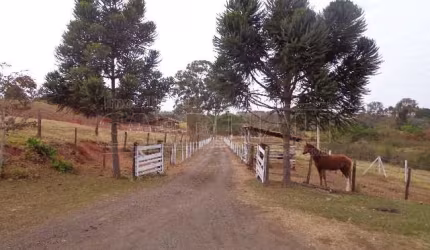 Rural Chácara em São Carlos