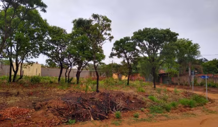 Rural Terreno sem Condomínio em São Carlos