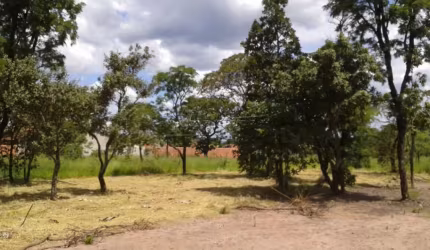 Terreno Padrão em Brotas