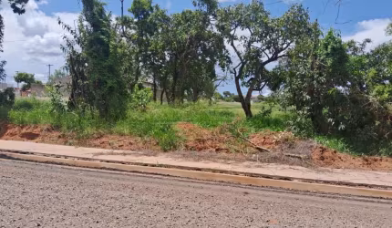 Oportunidade