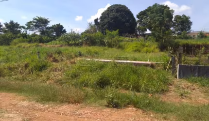 Terreno Padrão em Pirassununga