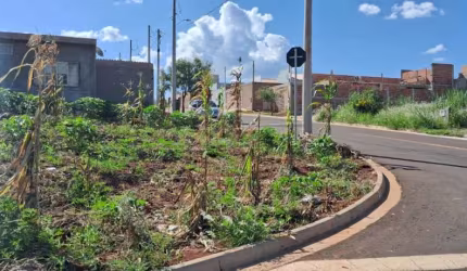 Terreno Padrão em Araraquara
