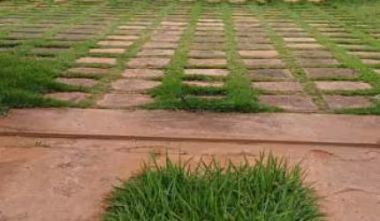 Rural Chácara em Brotas