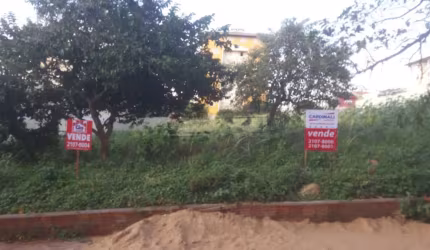 Terreno Padrão em São Carlos