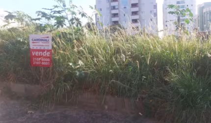 Terreno Padrão em São Carlos