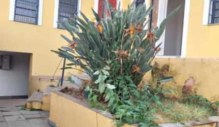 Casa Padrão em São Carlos