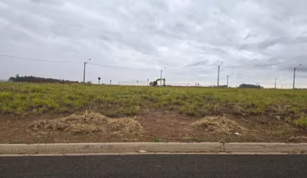 Terreno Padrão em São Carlos